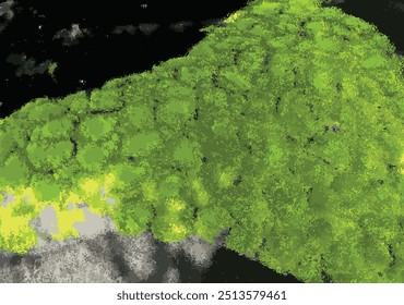 Zen Garden Composition with Green Moss