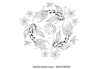 zen koi fish line art vector isolated on white background