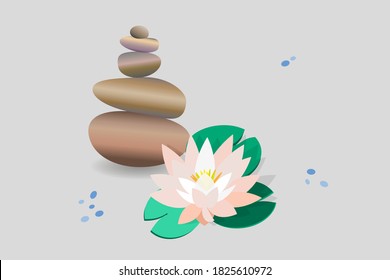Zen stone balance, delicate white lotus flower, water lily. 3D image of stones, flowers. Vector illustration for spa salons, yoga studios, relaxation studios.