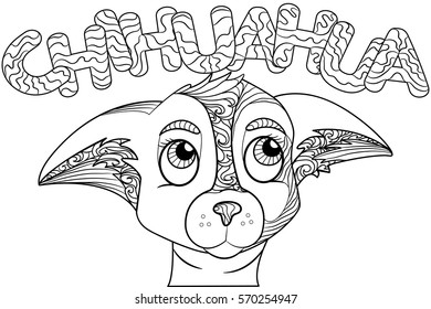 Zen tangle stylized doodle ornate vector of chihuahua dog head. Zen art drawing. Animal ethnic tribal ornament suits as tattoo, logo template, decorative print, adult coloring book sketch