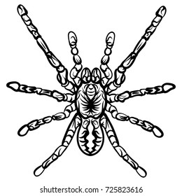 Zen tangle stylized Halloween spider. Black and white hand drawn doodle vector illustration. Tattoo sketch spider