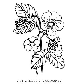 Zenart Zentagle Leaves Vector