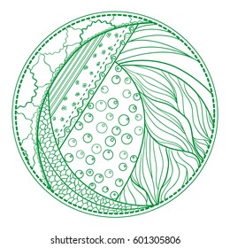 Zendala. Zentangle. Hand drawn circle mandala with abstract patterns on isolation background. Design for spiritual relaxation for adults. Line art creation.