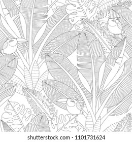 Zentangle adult coloring outline illustration. Jungle forest palm trees and exotic birds doodle abstract seamless pattern. Vector hand drawn tropical landscape wallpapers.