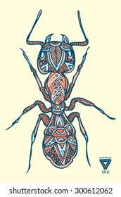 zentangle ant vector illustration