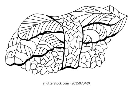 Zentangle avocado nigiri. Hand drawn decorative vector illustration for coloring