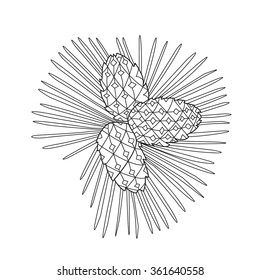 Zentangle the Baikal pinecones for adult anti stress Coloring Page for art therapy, illustration in doodle style. Vector monochrome sketch with geometric pattern isolated on white background.