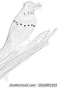 Zentangle Bird Coloring Doodle Animal 