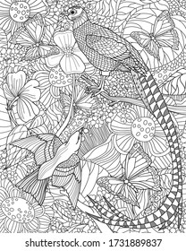 Zentangle with birds. Antistress coloring page