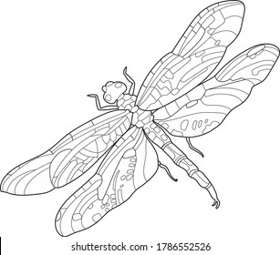 Zentangle doodle patterned fantasy dragonfly isolated design black on white background. Detailed illustration, hand drawn composition doodle stile. Abstractart. Meditation coloring page