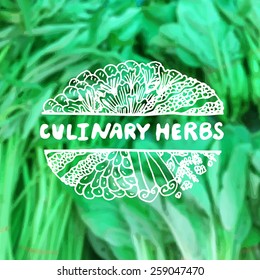 Zentangle element on blurred background. Culinary herbs. Suitable for ads, packaging and signboards, identity designs