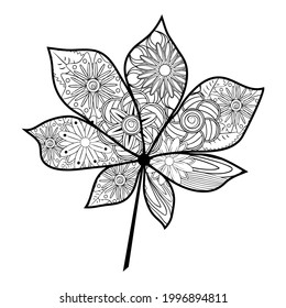 Zentangle. Flower pattern. Patterned leaf of maple, chestnut, oak in zentangle style, coloring book for adults