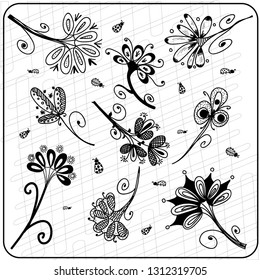 Zentangle  flowers black white