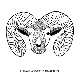 Zentangle head of mountain ram for coloring. Vector doodled illustration.