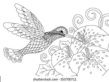 Zentangle Humming Bird Design For Coloring Book For Adult