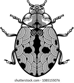 Zentangle ladybug in black and white for coloring