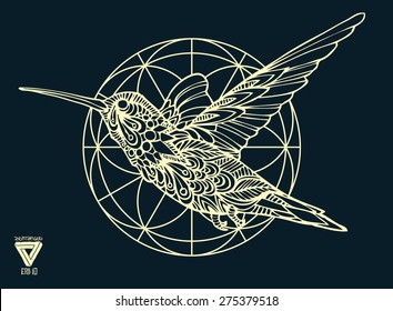 Zentangle Sacred Geometry Lineart Vector Hummingbird