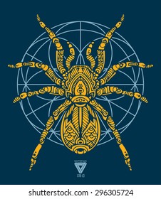 zentangle sacred geometry lineart vector tarantula