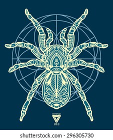 zentangle sacred geometry lineart vector tarantula