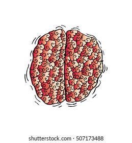 Zentangle Sketchy Human Brain