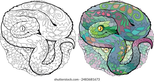 Zentangle snake for coloring on mandala . Hand drawn decorative vector illustration. Color and outline set