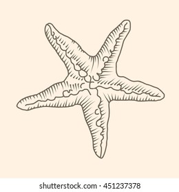 Zentangle starfish.  vector sketch. Ocean abstract .