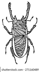 zentangle style beatle vector illustration 