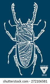 zentangle style bug vector illustration
