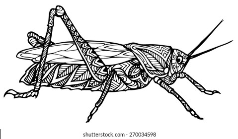 zentangle  style grasshopper vector