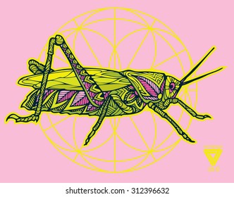 zentangle style grasshopper vector