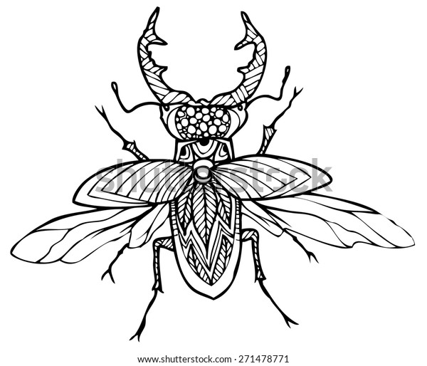 Zentangle Style Insect Vector Illustration Stock Vector (Royalty Free ...