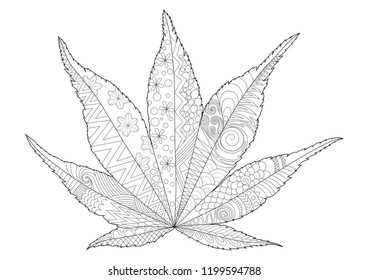 Zentangle style Japanese maple leaf for design element and coloring book for anti stress.Vector illustration