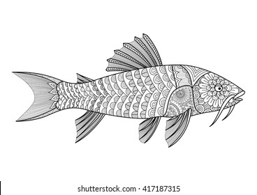  Zentangle stylized of armored catfish for coloring book for adult, T - Shirt graphics, tattoo and so on