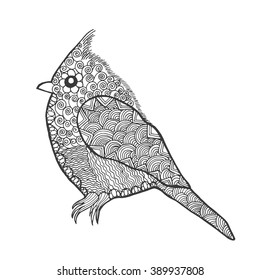 Zentangle stylized bird. Animals. Black white hand drawn doodle sparrow . Ethnic patterned illustration. African, indian, totem tatoo design. Sketch for avatar, tattoo, poster, print or t-shirt.