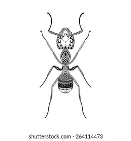 Zentangle stylized Black Ant. Hand Drawn tribal totem, Termite vector illustration for adult coloring pages. Sketch for tattoo or makhenda. Insect collection.