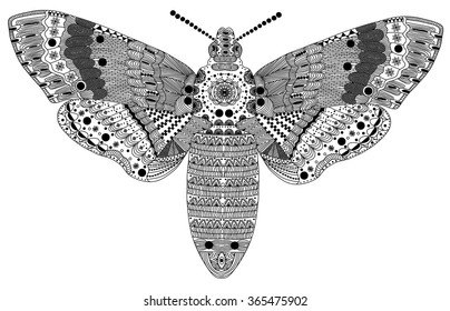 Zentangle stylized black butterfly . Hand Drawn vector illustration. Books or tattoos with high details isolated on white background. Collection of insects.