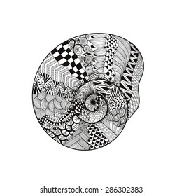 Zentangle stylized black seashell. Hand Drawn vector illustration isolated on white backgrounds. Sketch for tattoo or makhenda. Seashell collection. Ocean life. 