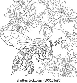 Zentangle stylized cartoon bee insect (bumblebee) flying among sakura flowers. Sketch for adult antistress coloring page. Hand drawn doodle, zentangle, floral design elements for coloring book.