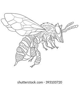 Zentangle stylized cartoon bee insect (bumblebee), isolated on white background. Sketch for adult antistress coloring page. Hand drawn doodle, zentangle, floral design elements for coloring book.