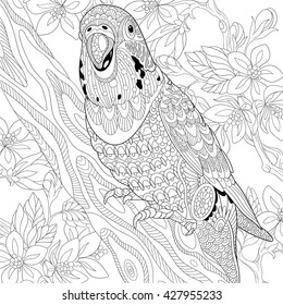 Zentangle stylized cartoon budgie parrot among cherry blossom. Hand drawn sketch for adult anti stress coloring page, T-shirt emblem, logo or tattoo with doodle, zentangle, floral design elements.