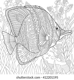 Zentangle stylized cartoon butterfly fish swimming among seaweed. Hand drawn sketch for adult antistress coloring page, T-shirt emblem, logo or tattoo with doodle, zentangle, floral design elements.