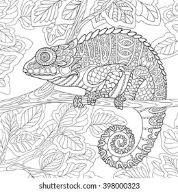 Zentangle stylized cartoon chameleon sitting on a tree branch. Hand drawn sketch for adult antistress coloring page, T-shirt emblem, logo or tattoo with doodle, zentangle, floral design elements.