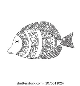 Zentangle stylized cartoon fish, isolated on white background. Hand drawn sketch for adult antistress coloring page

