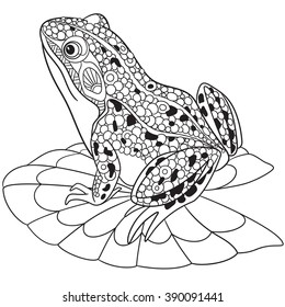 Download Frog Sketch High Res Stock Images Shutterstock