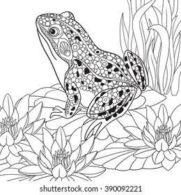 Zentangle stylized cartoon frog sitting among lotus flowers, water-lilies. Sketch for adult antistress coloring page. Hand drawn doodle, zentangle, floral design elements for coloring book.