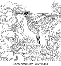 Zentangle stylized cartoon hummingbird flying around flowers full of nectar. Sketch for adult antistress coloring page. Hand drawn doodle, zentangle, floral design elements for coloring book.