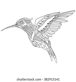 Zentangle stylized cartoon hummingbird, isolated on white background. Sketch for adult antistress coloring page. Hand drawn doodle, zentangle, floral design elements for coloring book.