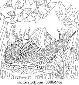 Zentangle Stylized Cartoon Snail Crawling Among Narcissus Flowers. Sketch For Adult Antistress Coloring Page. Hand Drawn Doodle, Zentangle, Floral Design Elements For Coloring Book.