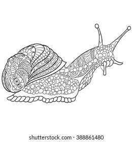 Zentangle stylized cartoon snail, isolated on white background. Sketch for adult antistress coloring page. Hand drawn doodle, zentangle, floral design elements for coloring book.