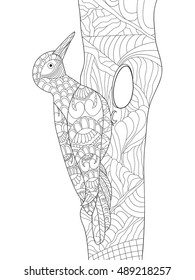 Zentangle stylized cartoon woodpecker on tree branch. Hand drawn sketch for adult antistress coloring page, T-shirt emblem, logo, tattoo with doodle, zentangle, floral design elements